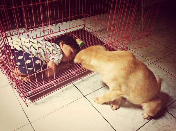 Forget It Sis, This Is My Bedroom!