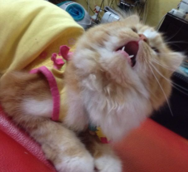 I'm Waiting For You!!