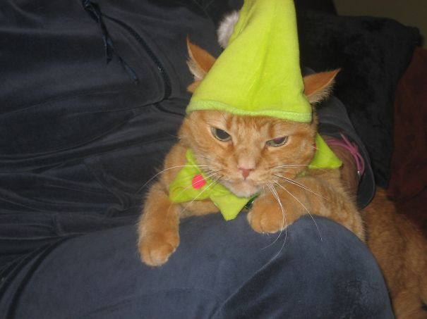 Santa's Most Pissed Off Elf