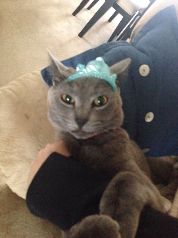 Pretty Pretty Pearl Princess Is Definitely Plotting