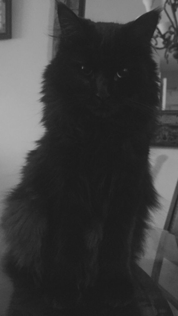 Wondering What Goes On In That Little Head Of His.