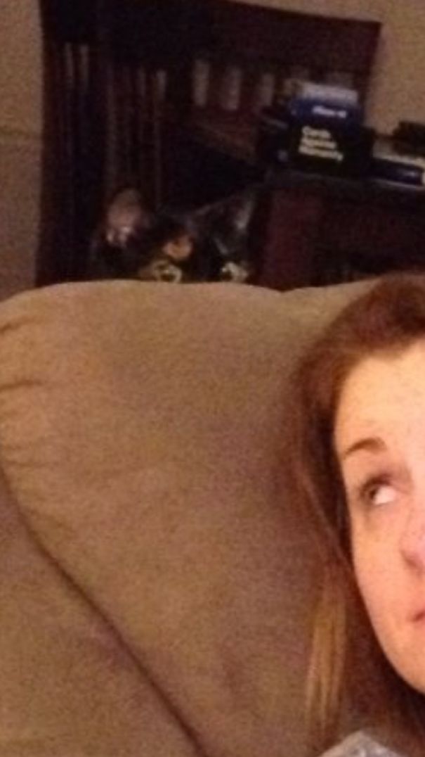 Creepster Kitty