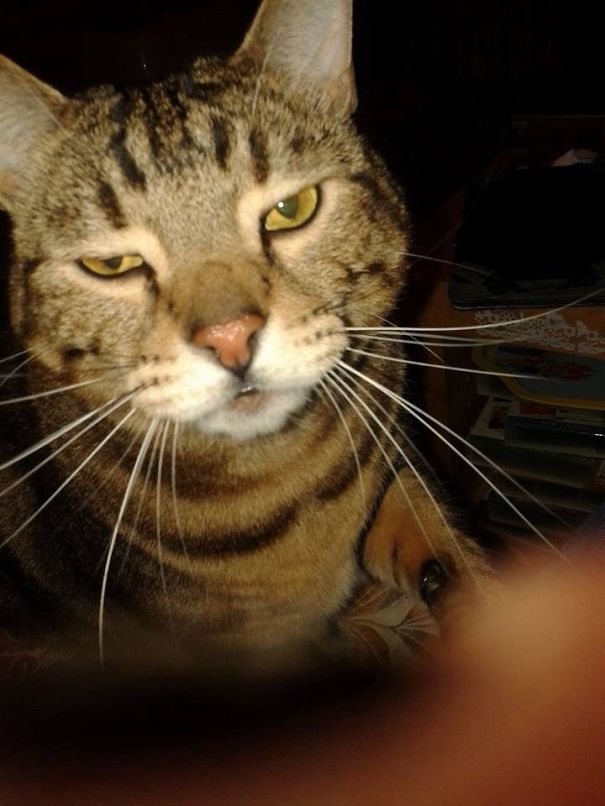 Really? You Really Think I Love You Back? #awkward