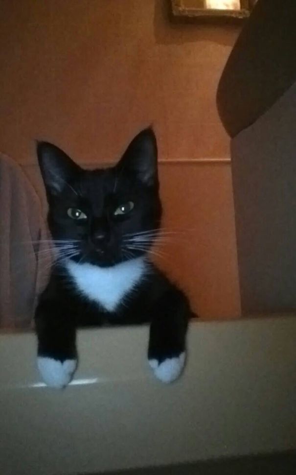 I Remember When You Put Me In That Tub....