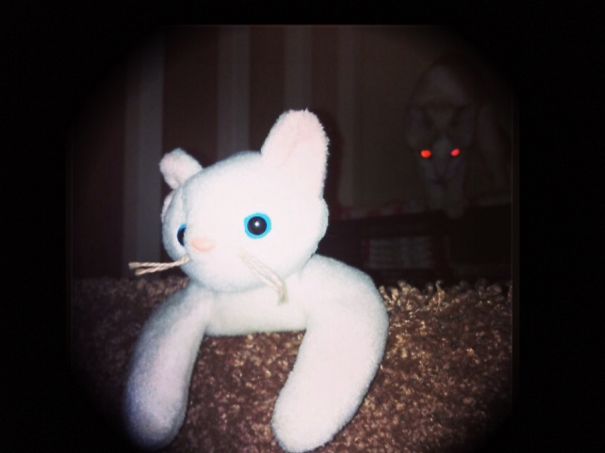 Plotting To Kill Anyone In The Way...