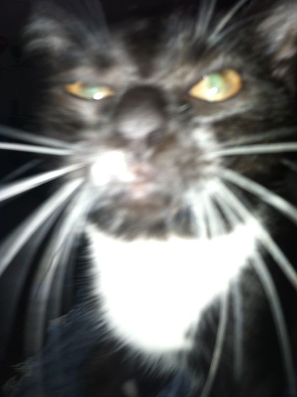 The Plan Is All Coming Together