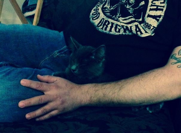 Cat Be Like, I Want Him All To Myself, I Will Smother You In Your Sleep!