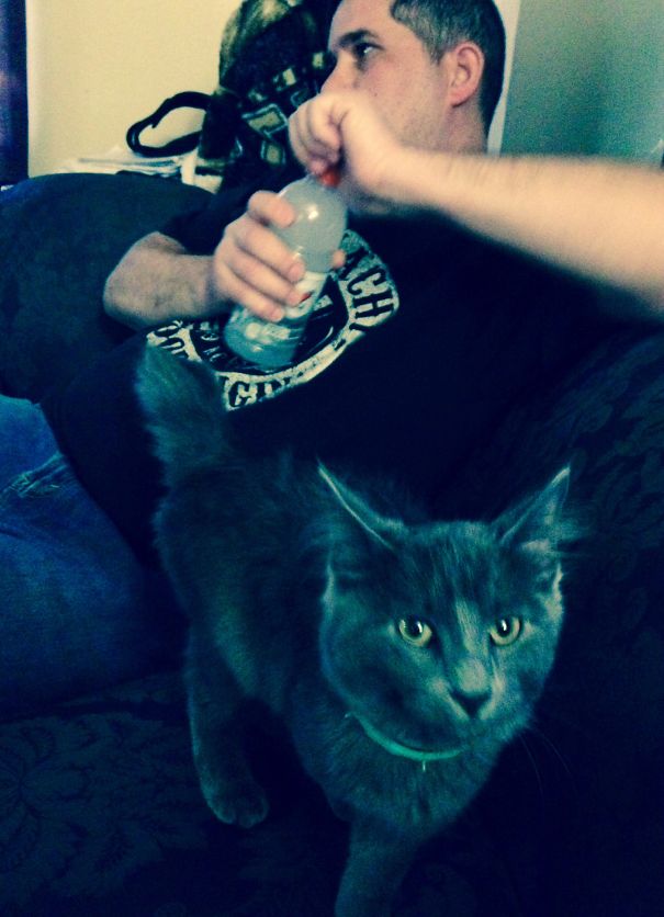 I Will Get You, He Is Mine