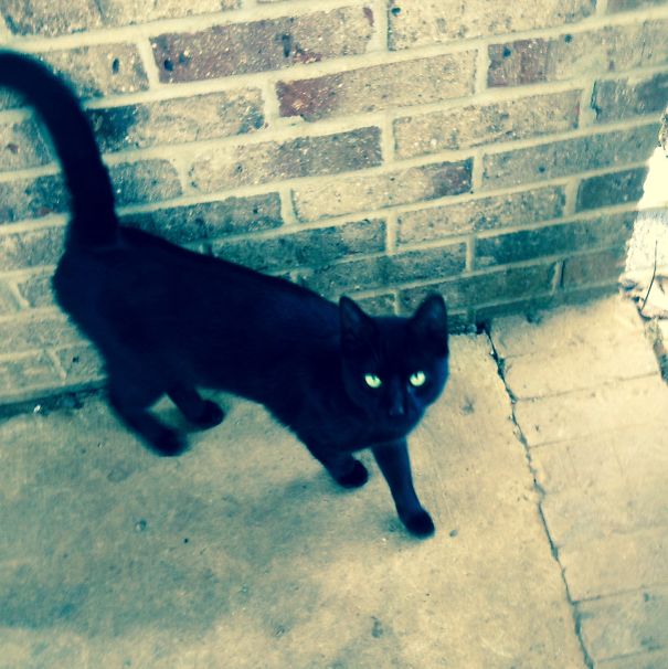 I Will Get You When You Least Expect It