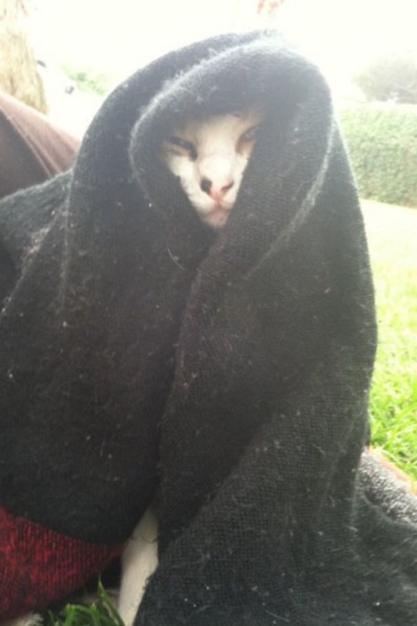 Strike Me Down With All Of Your Hatred And Your Journey To The Dark Side Will Be Complete!