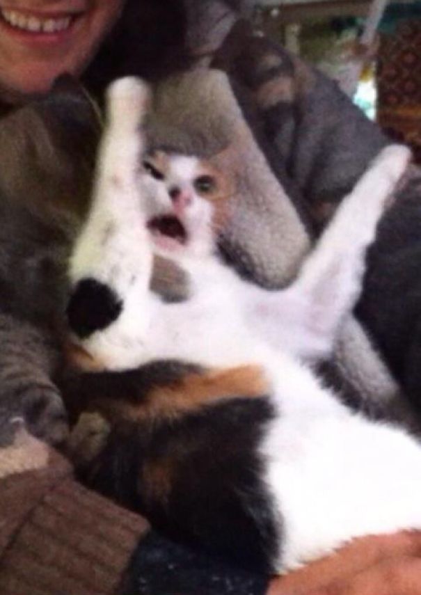 You Will Now Know The Meaning Of True Terror.