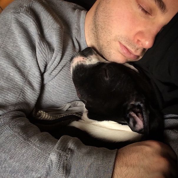 Me And My Boxer Pup Geno