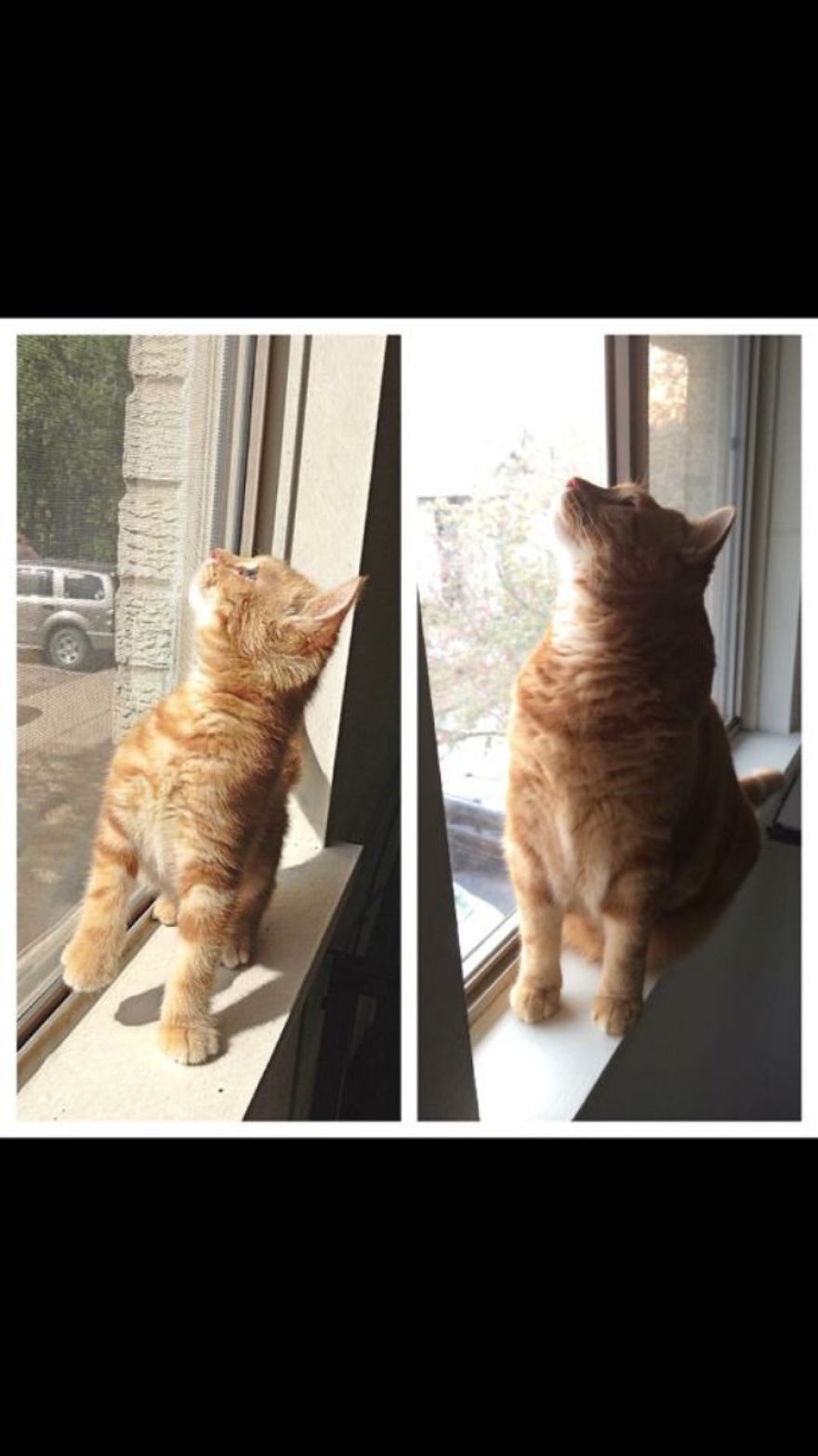 Butterscotch Then And Now...