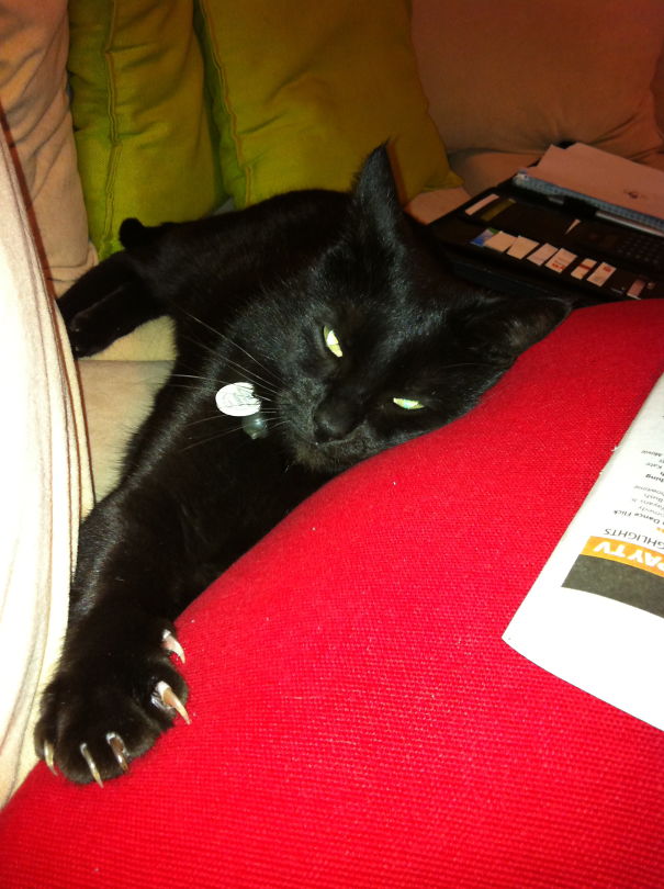 Just Out Of Reach...