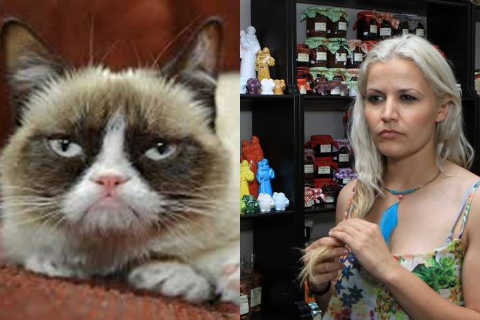 Grumpy Cats