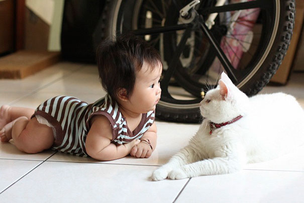 Cute Baby And A Cat