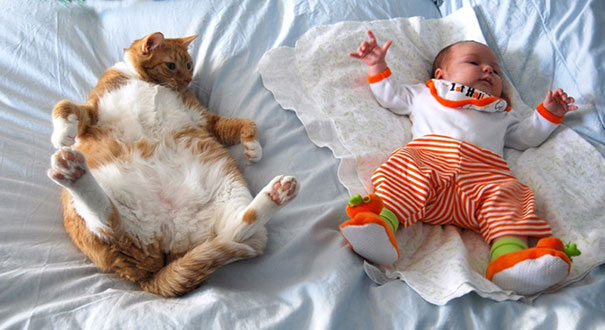 Baby With A Cat