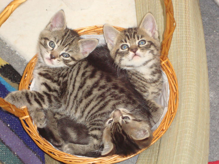 Before, We All Fitted....