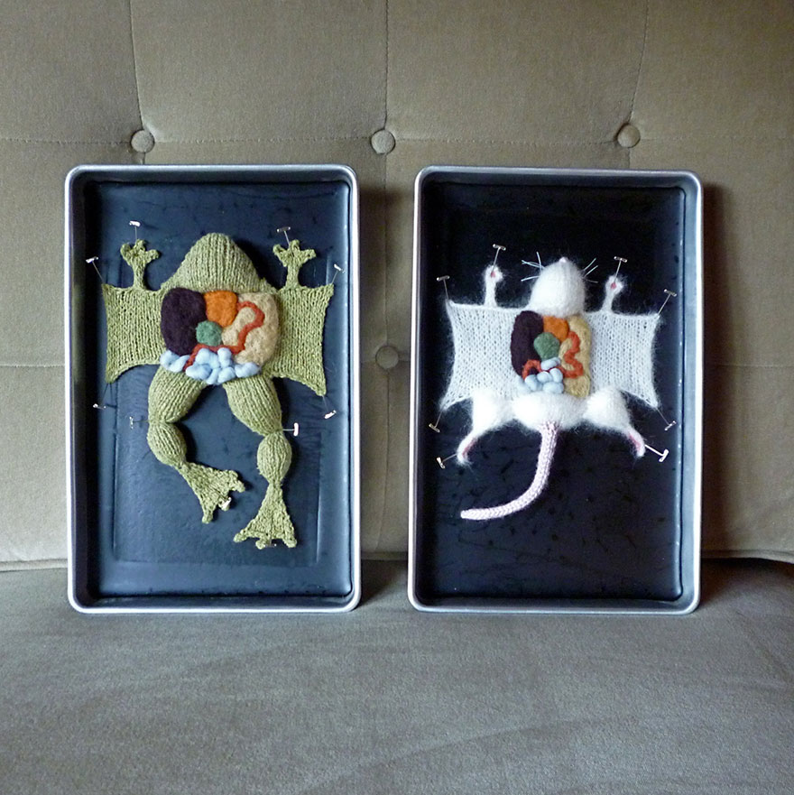knit-animal-dissection-anatomy-emily-stoneking-aknitomy-1 knit-animal-dissection-anatomy-emily-stoneking-aknitomy-1