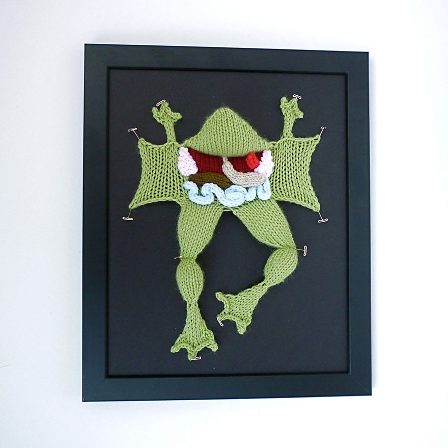 knit-animal-dissection-anatomy-emily-stoneking-aknitomy-10