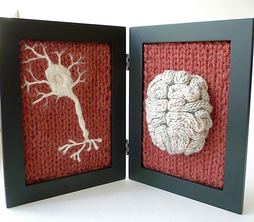 knit-animal-dissection-anatomy-emily-stoneking-aknitomy-15