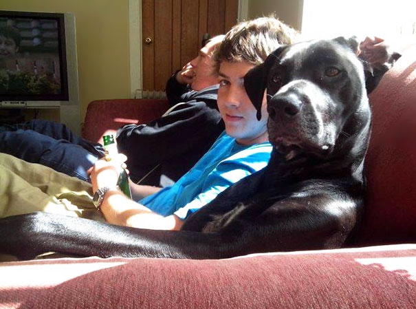 Sometimes I Swear My Friend's Dog Is A Human In Dogs Skin