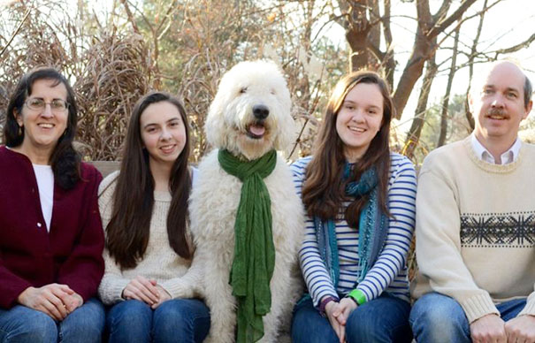 Like Family Like Dog