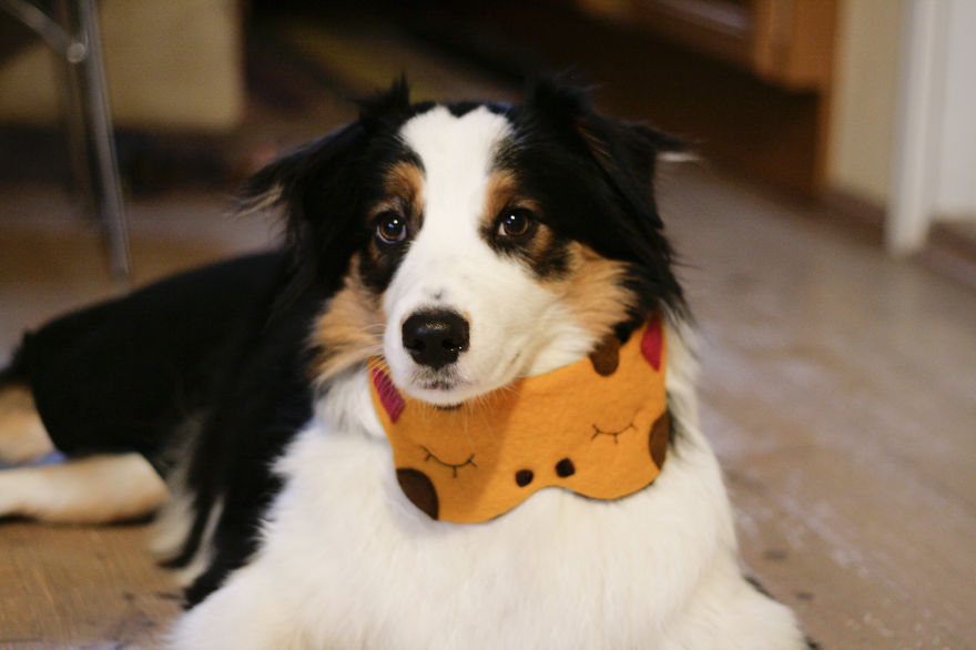 Cute Animal Sleeping Masks To Protect Your Dreams From Evil Spirits Cute Animal Sleeping Masks To Protect Your Dreams From Evil Spirits