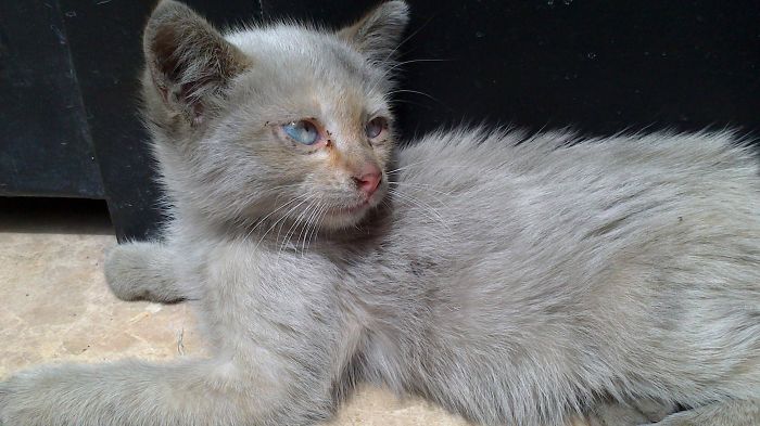 Lucas, Lo Encontré En La Puerta De Mi Trabajo.