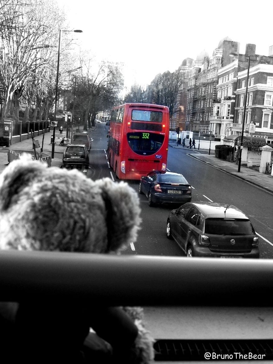 Everything Is Pawsibble: Pictures Of Bruno The Bear Travelling The World Everything Is Pawsibble: Pictures Of Bruno The Bear Travelling The World