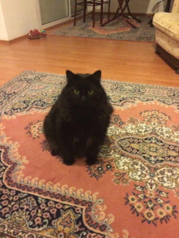 Come On It Won't Hurt