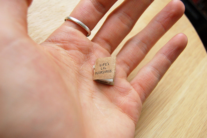 miniature-book-lifes-lil-pleasures-evan-lorenzen-10