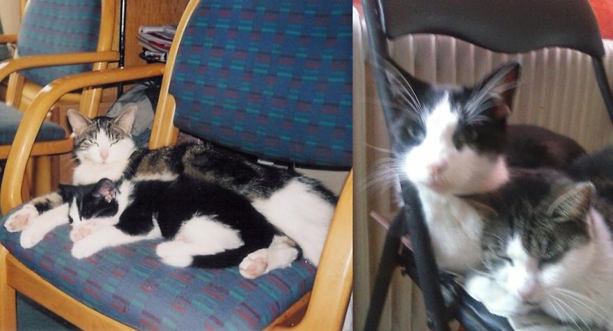 Mother And Son 12 Years Later