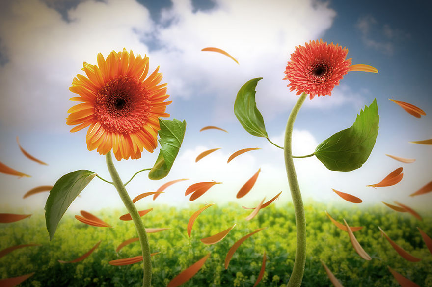 I Show The Real Wishes Of Everyday Objects I Show The Real Wishes Of Everyday Objects