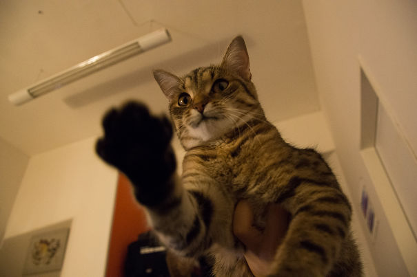 Sleep. It'll Be Over, Soon.