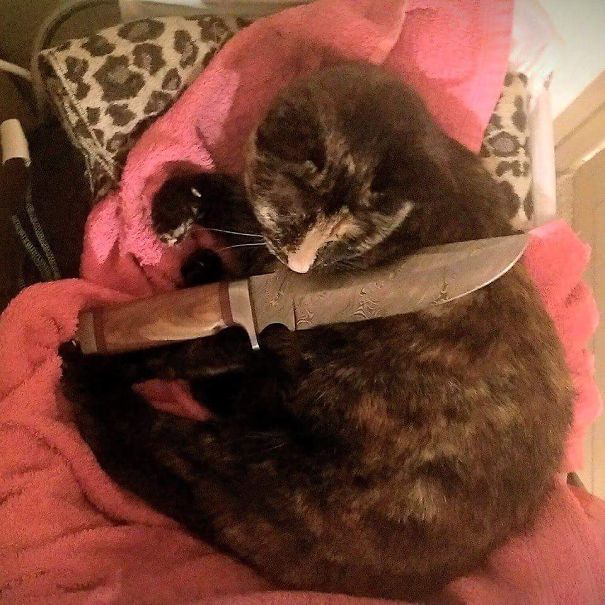 Don't Be Silly...i'm Just Doing My Nails