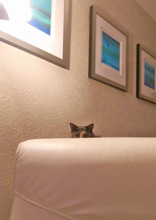 Be Afraid....be Very Afraid