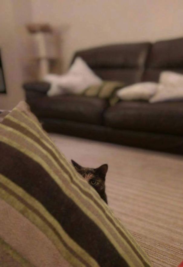 If He Moves I'm Going For His Throat