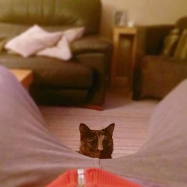 Don't Move A Muscle!