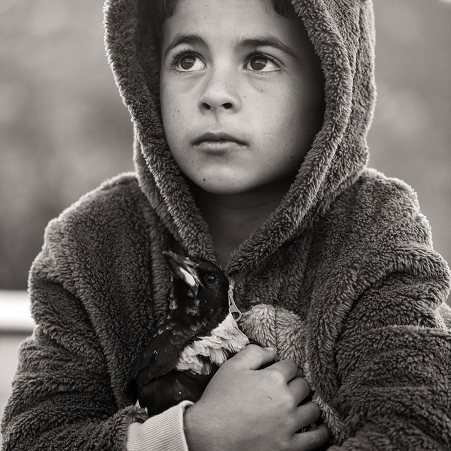 penguin-magpie-rescue-friendship-bloom-family-australia-12 penguin-magpie-rescue-friendship-bloom-family-australia-12