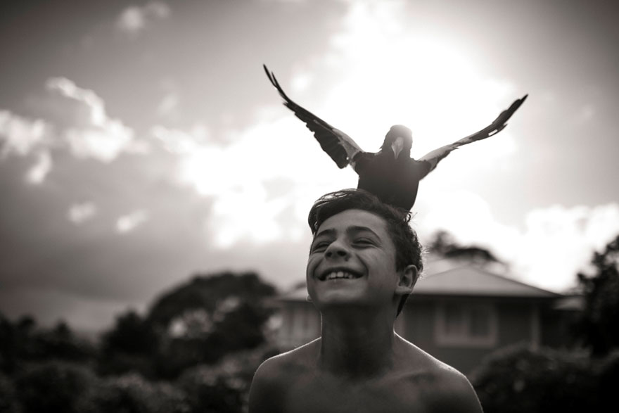 penguin-magpie-rescue-friendship-bloom-family-australia-18 penguin-magpie-rescue-friendship-bloom-family-australia-18