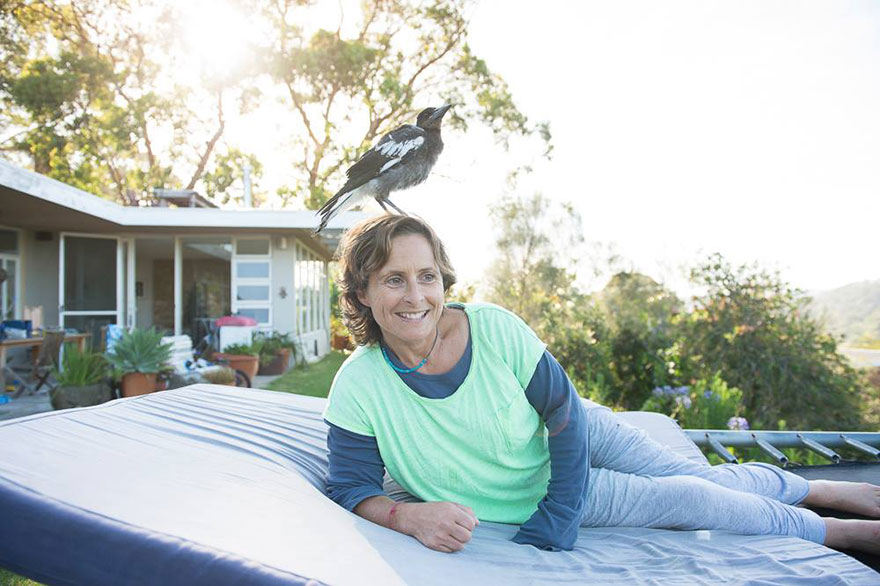 penguin-magpie-rescue-friendship-bloom-family-australia-2 penguin-magpie-rescue-friendship-bloom-family-australia-2