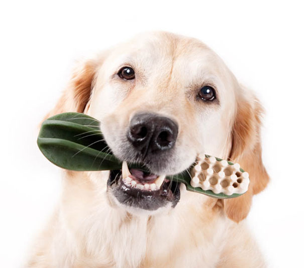 Giant Toothbrush Dog Toy