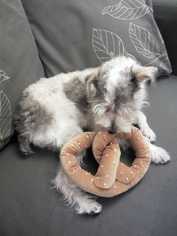 Dog Toy With Squeaker