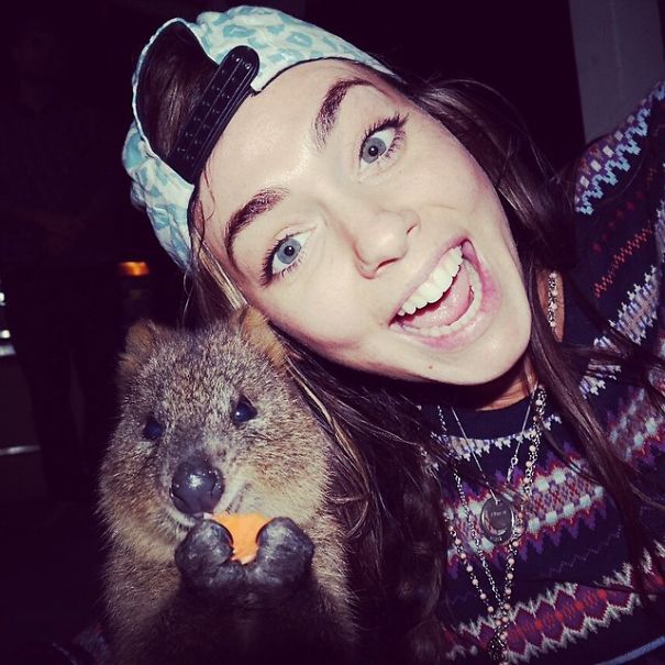Quokka Selfie