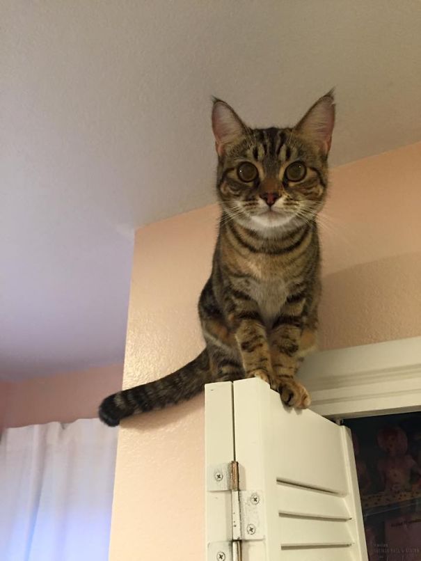 I Turned On The Lights And Saw This