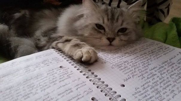 "you Know You Want To... Sstop!"