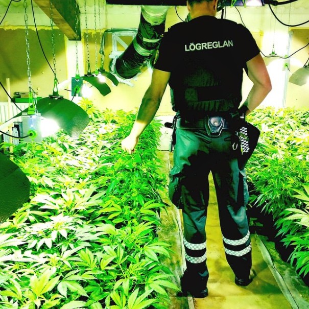 reykjavik-police-department-instagram-logreglan-iceland-4