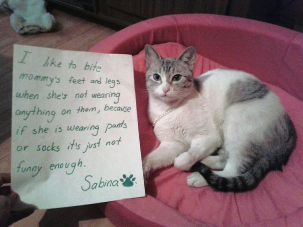 That's Why Mom Always Wears Socks Even When Coming Out Of The Shower