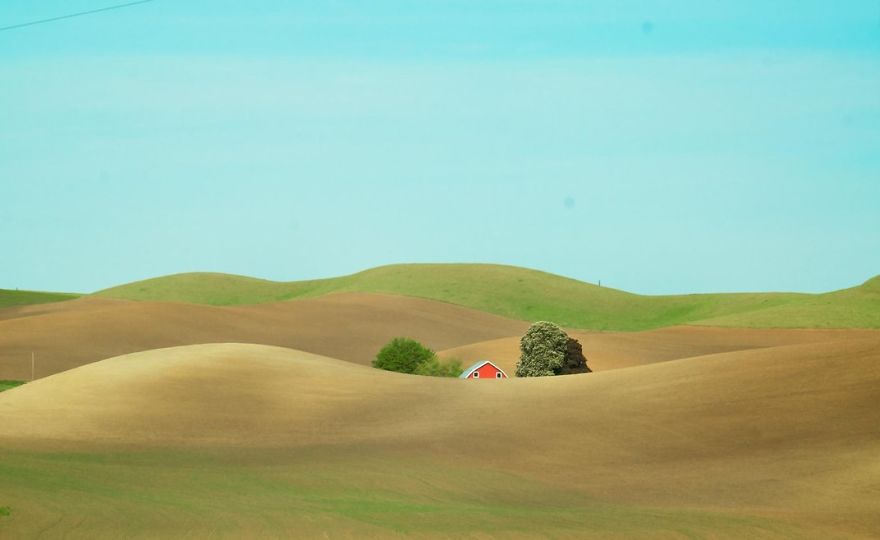 Spring In Palouse, Palouse, Washington